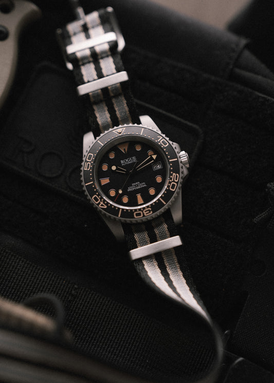 TIME TO LIVE DIVE PROFESSIONAL