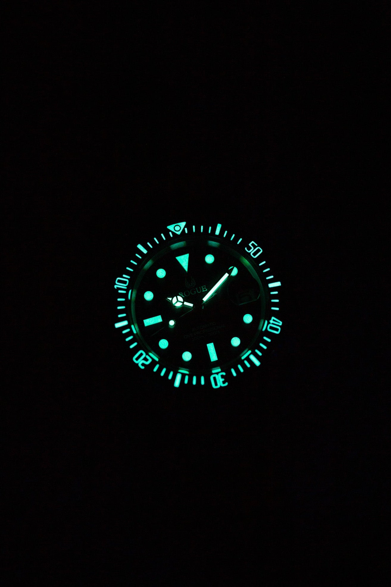 BLUE DIVE PROFESSIONAL