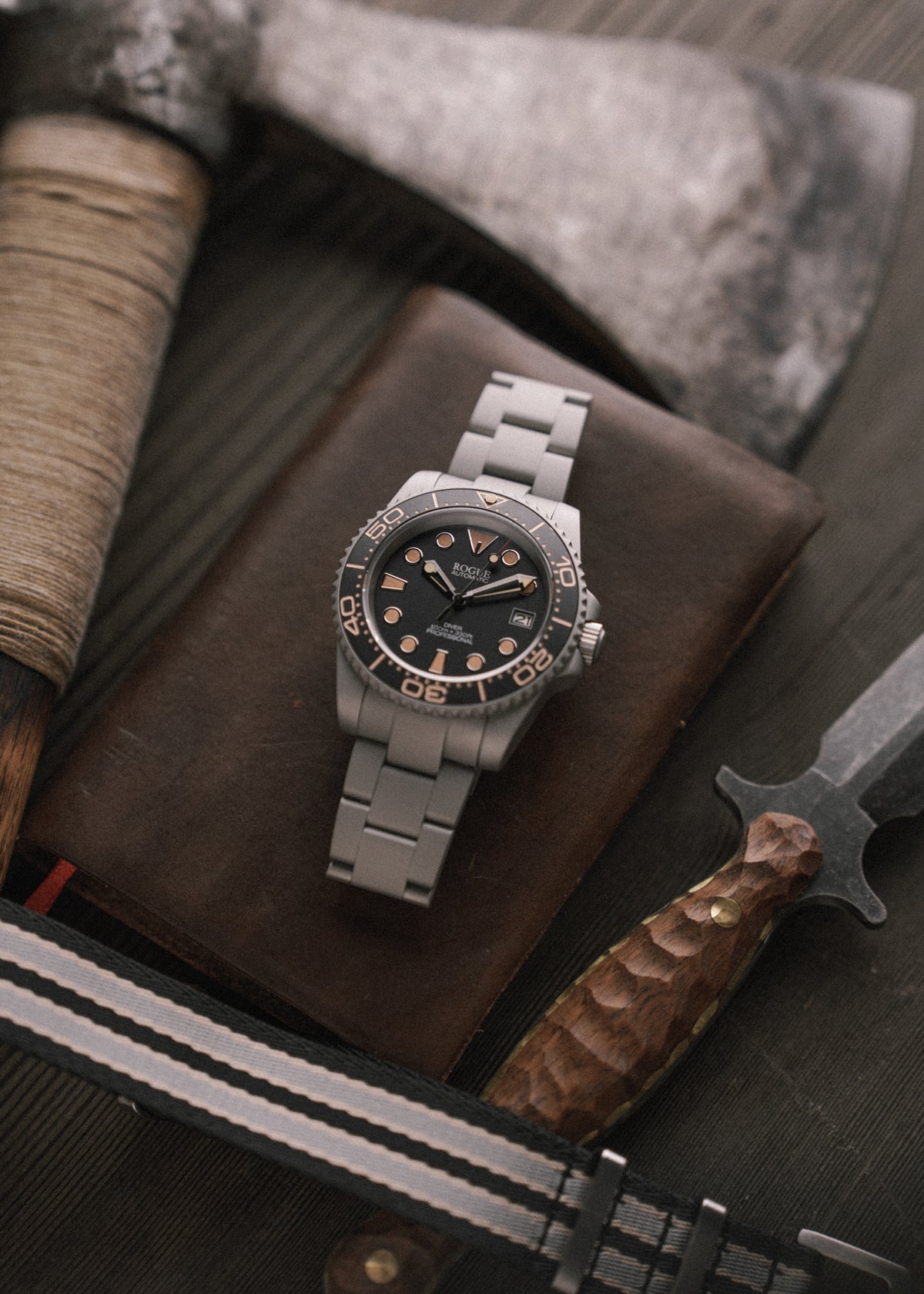 TIME TO LIVE DIVE PROFESSIONAL