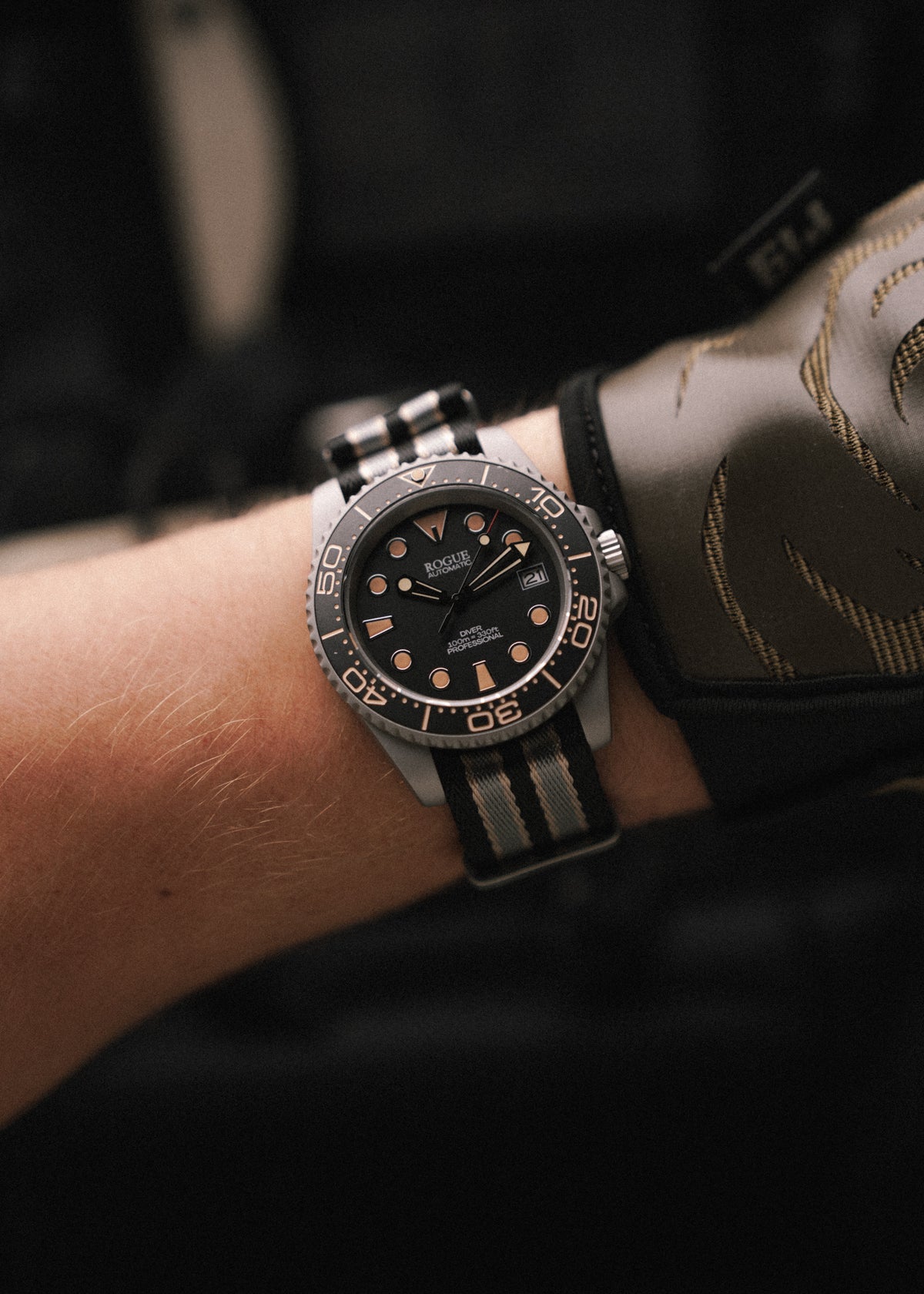 TIME TO LIVE DIVE PROFESSIONAL