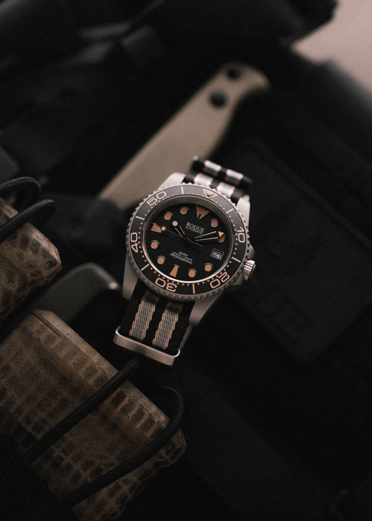 TIME TO LIVE DIVE PROFESSIONAL