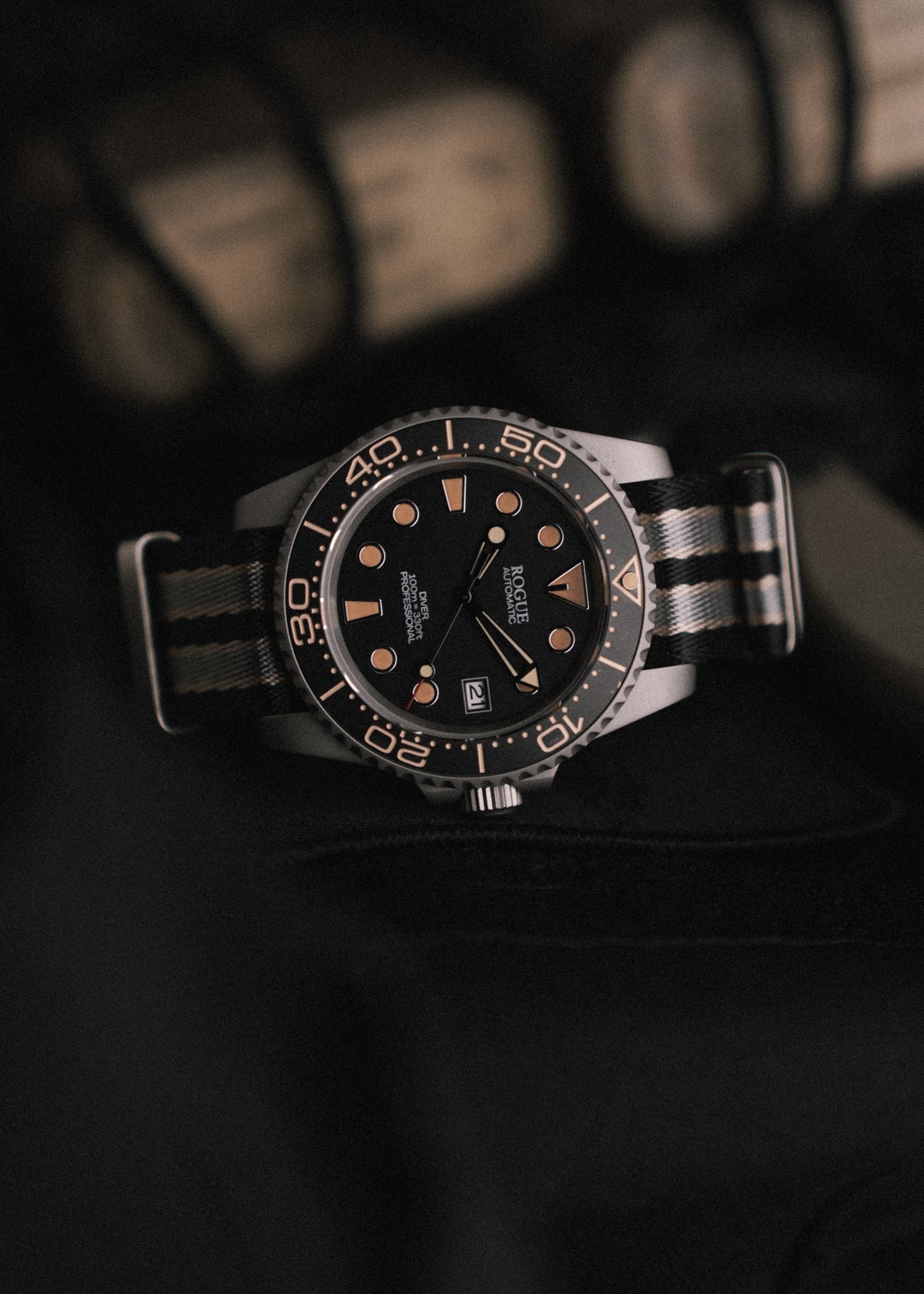 TIME TO LIVE DIVE PROFESSIONAL
