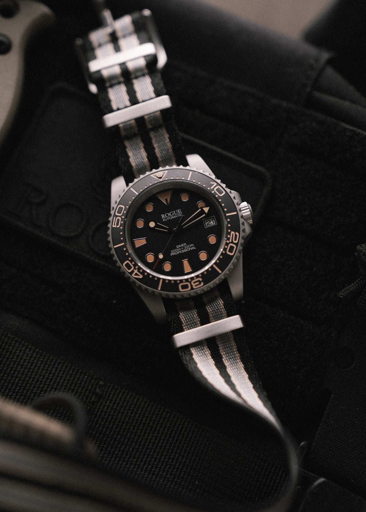 TIME TO LIVE DIVE PROFESSIONAL