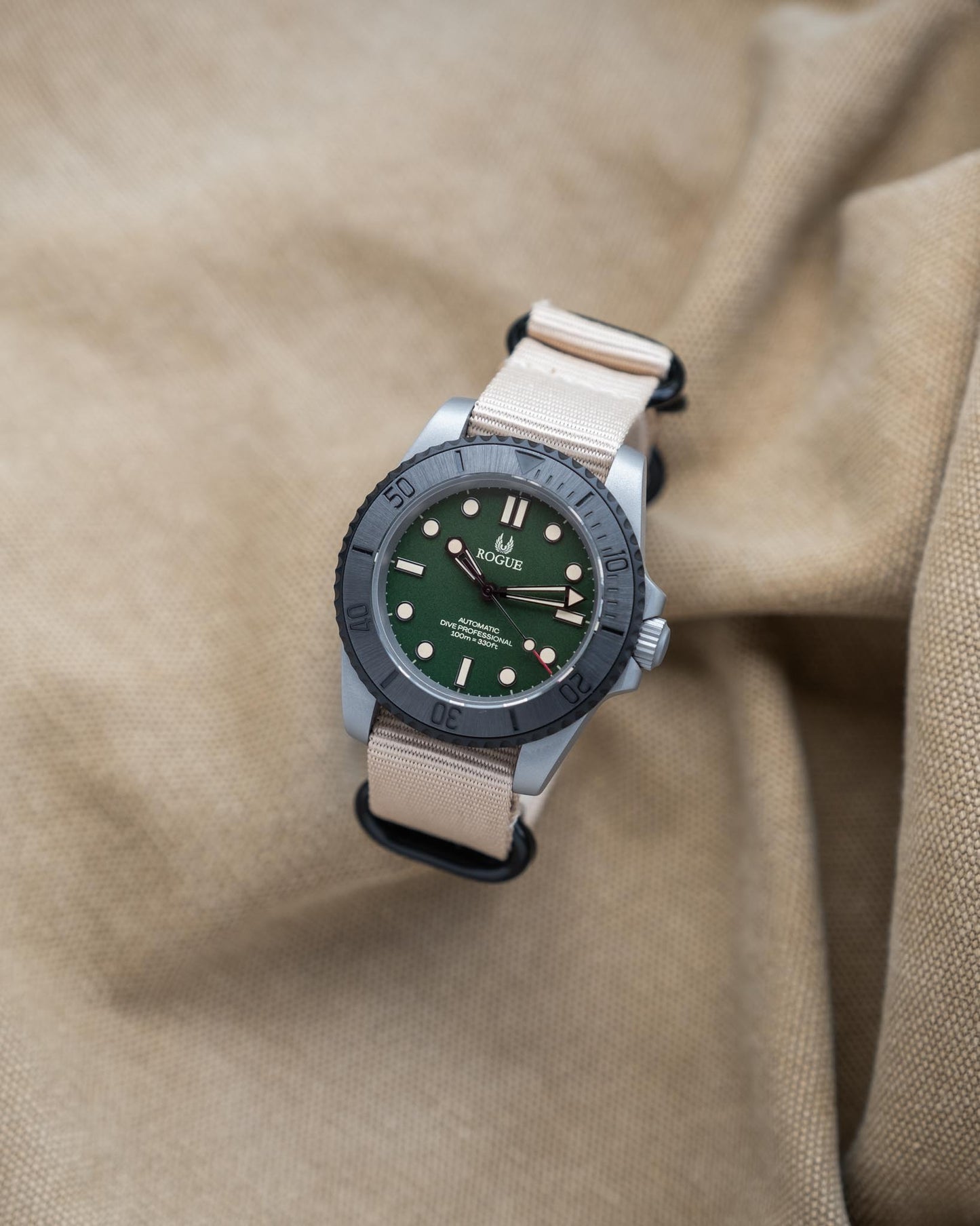 RANGER DIVE PROFESSIONAL